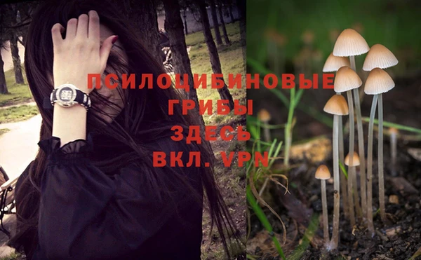 ALPHA PVP Аркадак