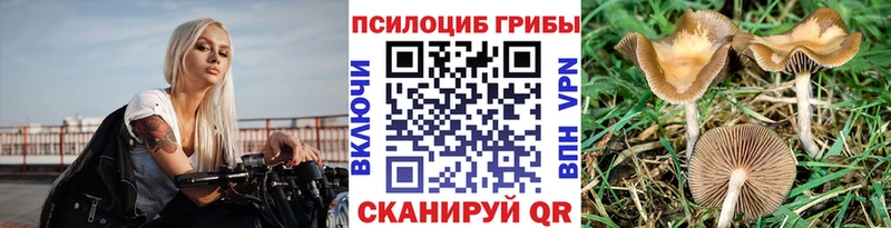 ОМГ ОМГ как войти  Сатка  Псилоцибиновые грибы мицелий 